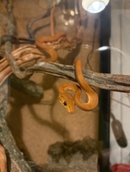 584b4775-b791-46a7-9441-fd69e1d9de80