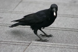 ca897997-a156-4c87-822e-b6dd14c7e8c7