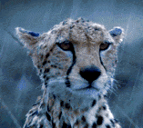 a00c85f4-9ebe-4538-83b7-05f9183172eb