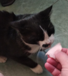 b4e7c201-a109-47e3-adb4-01ff942f60e7