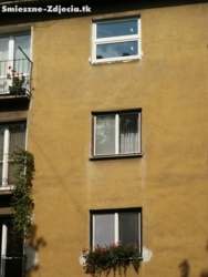 06b8a99d-e959-4fcb-8392-b024ee4f0821