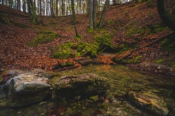 8c68fb6a-d52f-4851-b87f-478e04283c2c