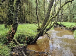 d5f27250-70ef-4887-bb15-eea1e6cfa565