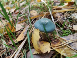 ccd860d9-d5d6-4cb3-a2c4-a6f229b380f5