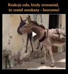 81871ab7-2e18-4d96-b8ae-adf5f1668f53