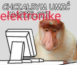 23173dc0-5273-4177-a970-a659656a531a