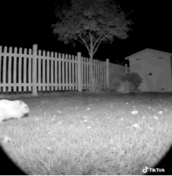 86de9518-df7a-4305-b52d-5b49430ac5c8