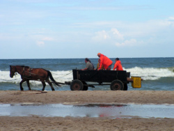 2a798898-0c50-4fff-a112-946297010c85