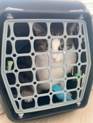 a8c33f37-6d77-45f5-8931-292bbe0f37a2