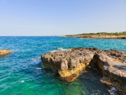 e3ba27bb-b2fb-4415-8853-2d49d8e5f5a9