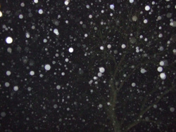 a10c7f60-5d3a-431d-8a6d-12e933e2877f