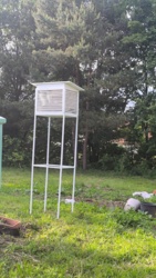 0d0bb2de-4a35-4456-9648-f30f7502d4f6