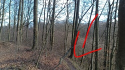 a35f9a99-9613-493e-81cd-e97a8fbd68a6