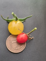 0baea508-bd05-4b64-8981-8d49dde0ca9e