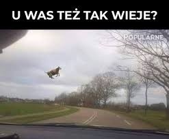 f83d515f-0f2f-42a5-8dd2-79c52a204e92