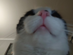 6c151d4b-4396-4a1d-9888-b288289ab6ef