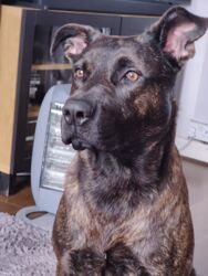 e4238799-05e8-462c-9dda-d6365f52d07d