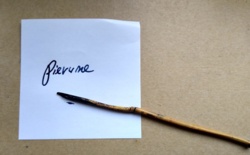 a4e167c9-77d0-4549-95eb-e7d75c7efeff