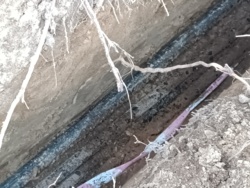 7026561c-5ce7-40ec-9119-ac54969576a5