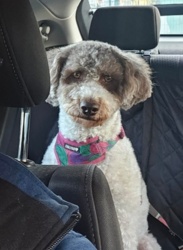 53e85195-13cb-4d6a-90a6-637f32c637b6