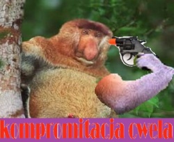 fb7de736-ca8a-4149-8a5d-69a288611bb1