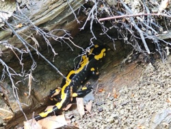 3275ac4f-7058-4e40-98c2-12e8d8e65d0c