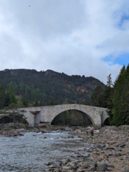 a1f1c477-0977-4981-b4f8-75778d1fe0d5