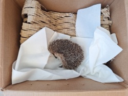 7fcc6258-adfc-4476-9922-8c02c50c41b8