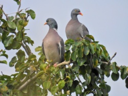 eae1292c-7392-484e-afa7-163bfb74d22f