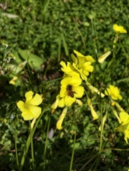 51068af1-9ad8-4bd6-a511-194d6f7b930f