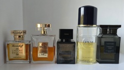 e175ece1-564d-4d5d-867b-1f7d9e96cf2c