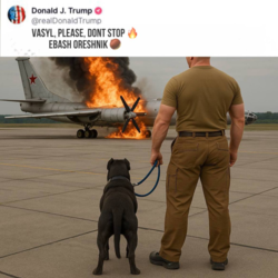 cce099fa-a8c5-453f-8627-e4410f533d86