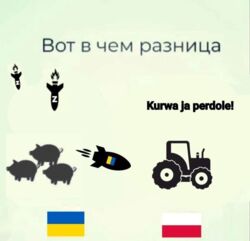 f47b748e-0fc4-40a8-afc6-c0d172661235