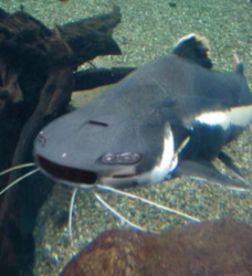 4a1d0f34-e313-4ca2-88fb-8784ae5e6f9c