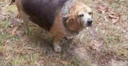 bf9f10ba-1a79-431d-957f-7134d3b2a064