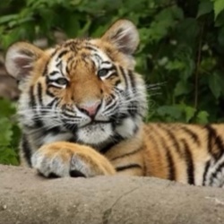 7520156a-9da7-41c4-a16c-bfae91fc61b4