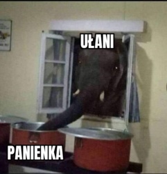 7d328d84-2956-4b96-810b-e84e463366d5