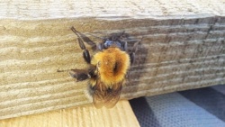 3b1d5fa3-6a69-43b1-878a-608768bb3c1b