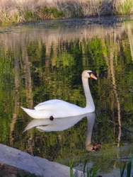 5ffbb4f6-3092-460b-9708-06a41f60c6f8