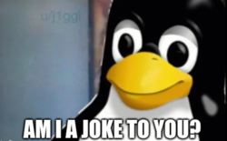 df060a2d-34a3-4f79-a00d-05a088359e6f