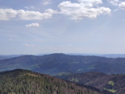 ffc50132-04a5-4f5a-97d5-b1f561002970