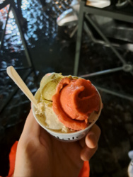 4399ec77-eb6e-4d5a-ada1-cd63b6d36d89