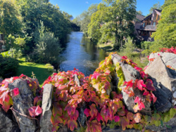 48ecf775-2a25-4bf2-9301-a2e3d9e38bcd