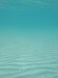 c316d126-319f-41d0-9dcf-8561ba8576ab