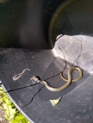 7cd982b0-429b-4b79-b900-4bd31402dd21