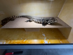 9af1f921-3a3e-4262-9a98-db7d781f8022