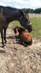 702c5d2d-7f70-494d-8c05-2ba332e58143