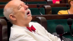 19d23baa-3d3b-4a3d-b259-ed177ce6e63d