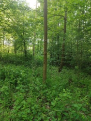 07f0fa5f-e030-4e70-8da7-7b96aba2e2ec