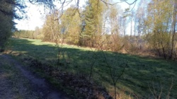 d80bcc54-38dd-42af-84fd-40d2fd4f7001